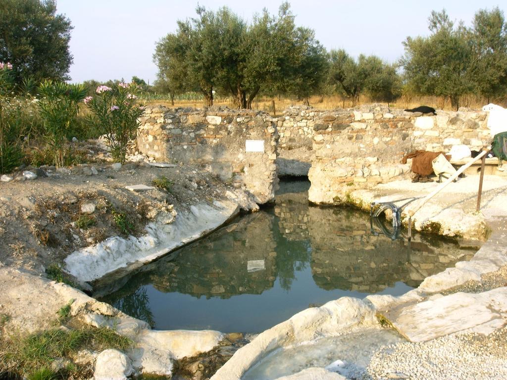 Forum Cassii *